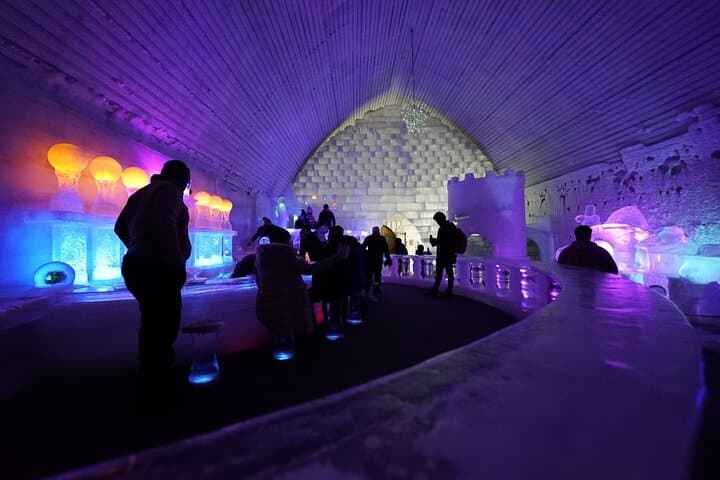Soak and Chase the Aurora: Chena Hot Springs Day Trip from Fairbanks photo 2