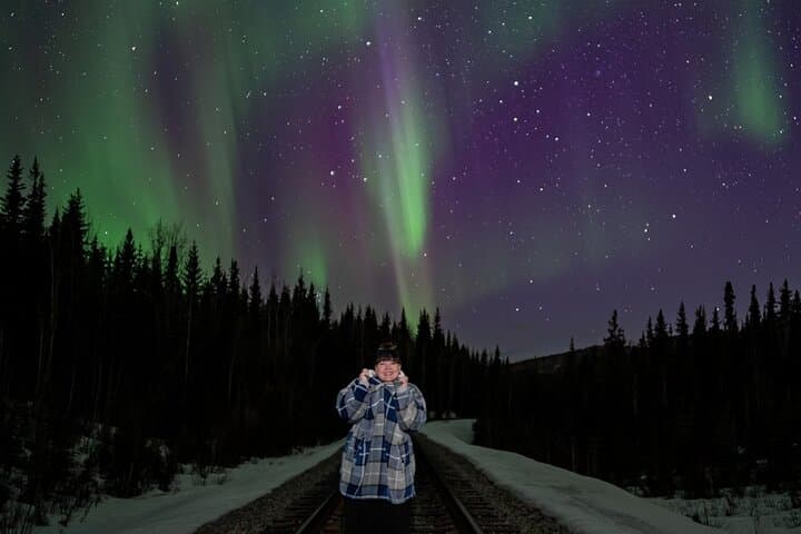 First or Last Call Aurora Tour — Fairbanks Mini Aurora Chase for Arrival or Departure photo 4