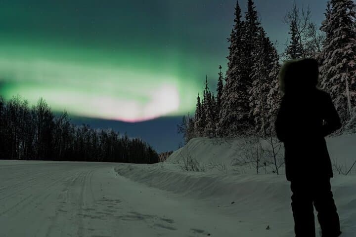 First or Last Call Aurora Tour — Fairbanks Mini Aurora Chase for Arrival or Departure photo 5