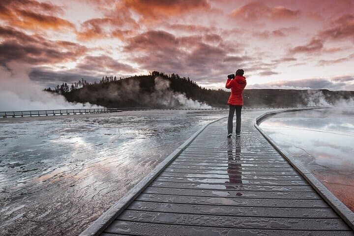 Yellowstone Through the Lens: A Full-Day Wildlife Photography Expedition photo 2