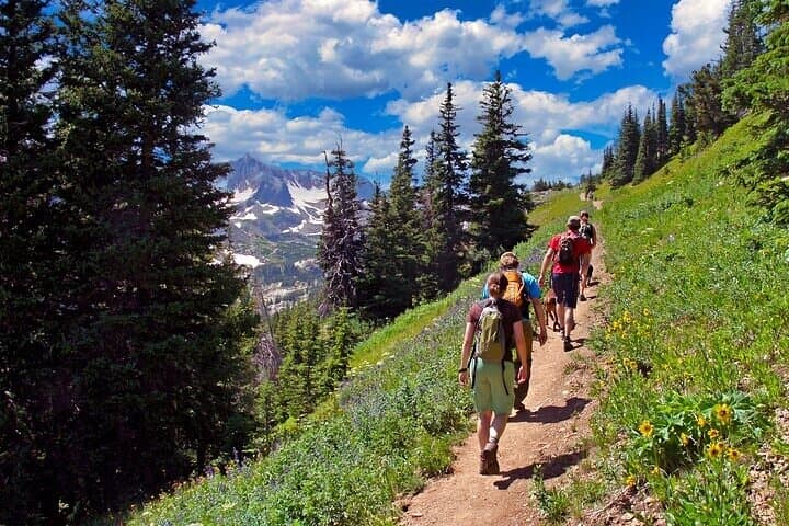 Guided Yellowstone Day Hikes: Lamar Valley, Fairy Falls & Grand Canyon Trails