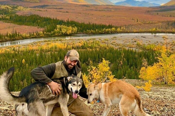 Sluice Box Kennel Experience: Meet Alaskan Huskies on a Homestead Visit photo 5