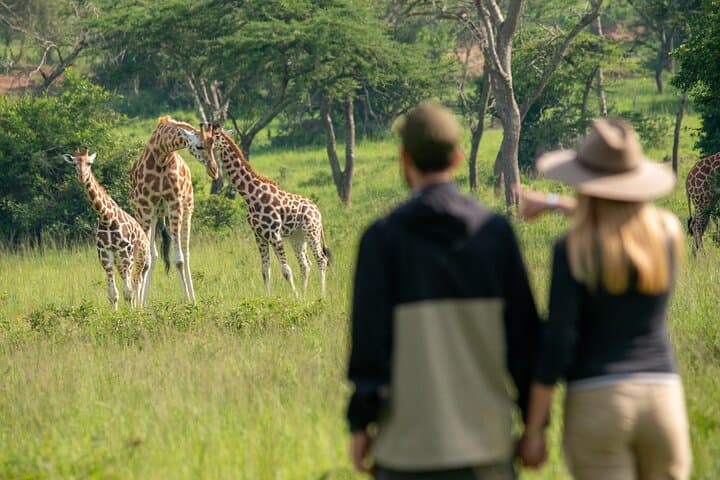 10-Day Uganda Safari: Gorilla Trekking, Murchison Falls & Rhinos photo 3