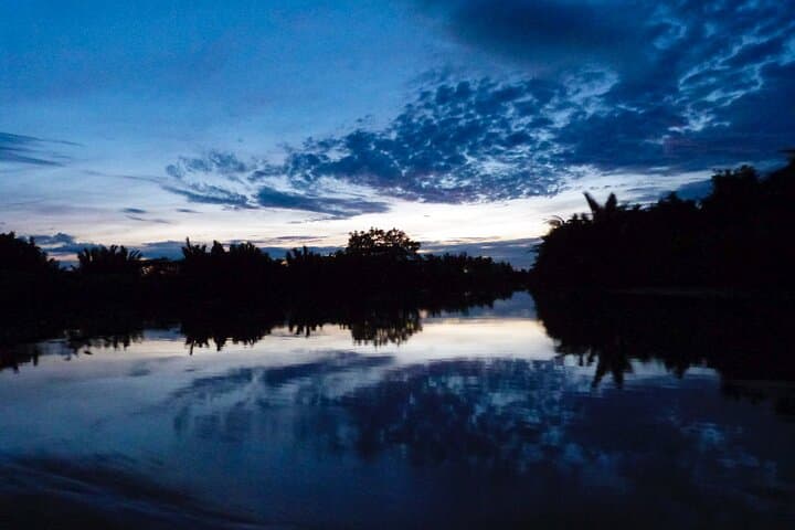 Semporna Mangrove & Firefly Cruise with Dinner and Transfers photo 5