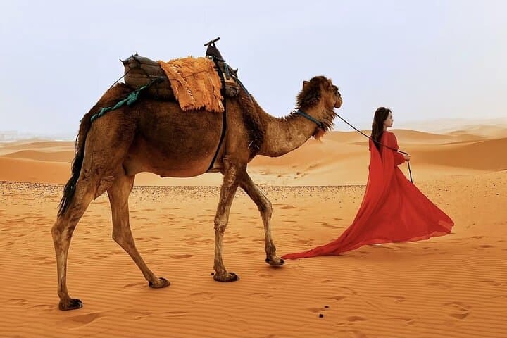 3-Day Marrakech to Merzouga Camel Trek: Atlas Passes, Dades Valley & Erg Chebbi Sunrise photo 3