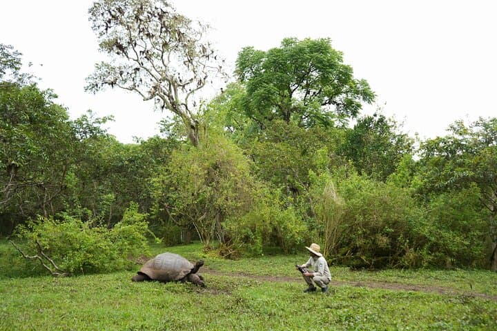 Santa Cruz Highlands Bike Tour: Giant Tortoises, Los Gemelos & Lava Tube Adventure photo 6