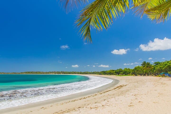 Fiji In Focus: 4-Day Viti Levu Mainland Discovery Tour from Nadi photo 3