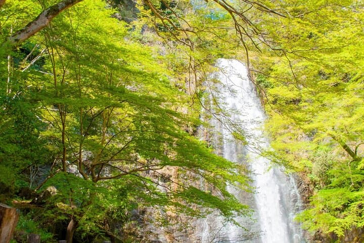 Daruma Magic and Minoh Falls: Osaka's Secret Cultural Hike photo 3