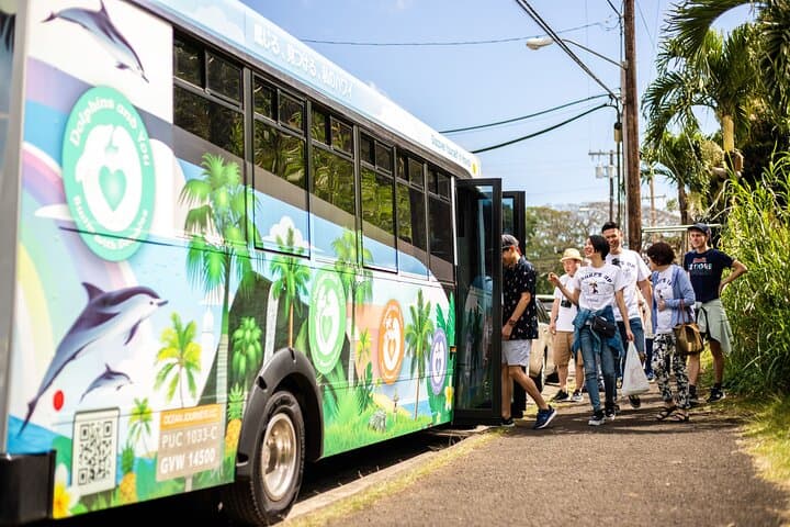 Oahu Circle Island Full-Day Tour — Halona Blowhole, North Shore & Local Eats photo 3