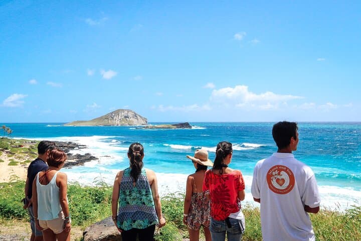 Oahu Circle Island Full-Day Tour — Halona Blowhole, North Shore & Local Eats photo 6