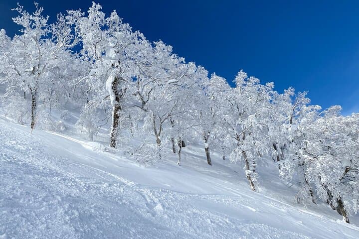 Bankei Ski Day Trip from Sapporo Station — Quick-Access Hokkaido Skiing photo 6