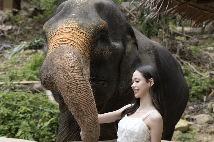 Ethical Elephant Encounters in Patong: Half-Day at Patong Elephant Hug photo 5