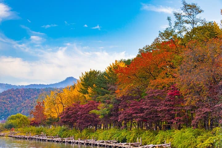 Nami Island, Petite France & Italian Village Day Trip from Seoul — Highlights and Tips photo 4