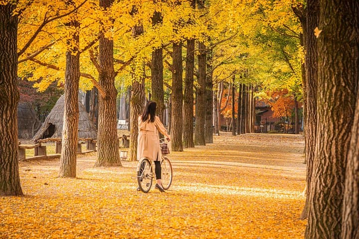 Seorak Peaks to Nami Island: One-Day Nature Escape from Seoul photo 3