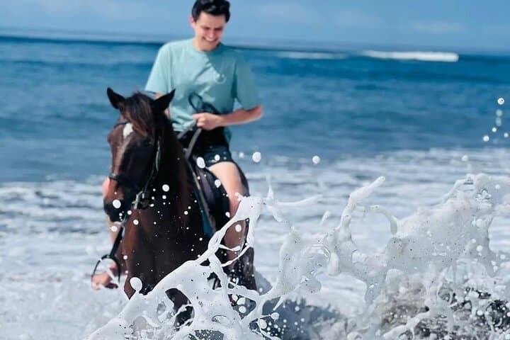 Private Bali Horse Ride on Saba Black Sand Beach — Jimbaran