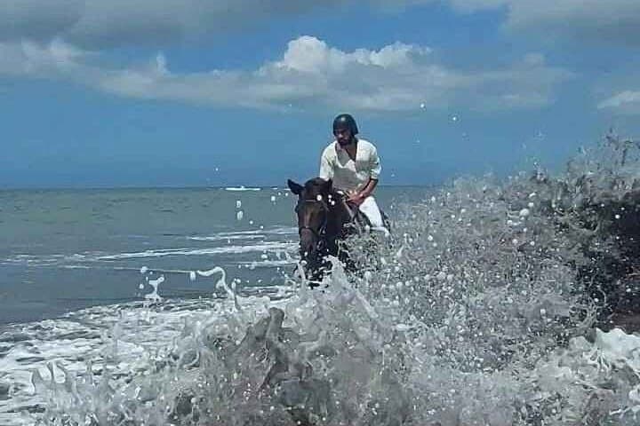 Private Bali Horse Ride on Saba Black Sand Beach — Jimbaran photo 6