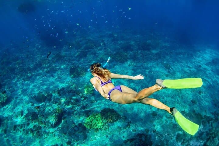 Montego Bay Private Snorkeling and Boat Ride: 1-Hour Guided Reef Adventure photo 2