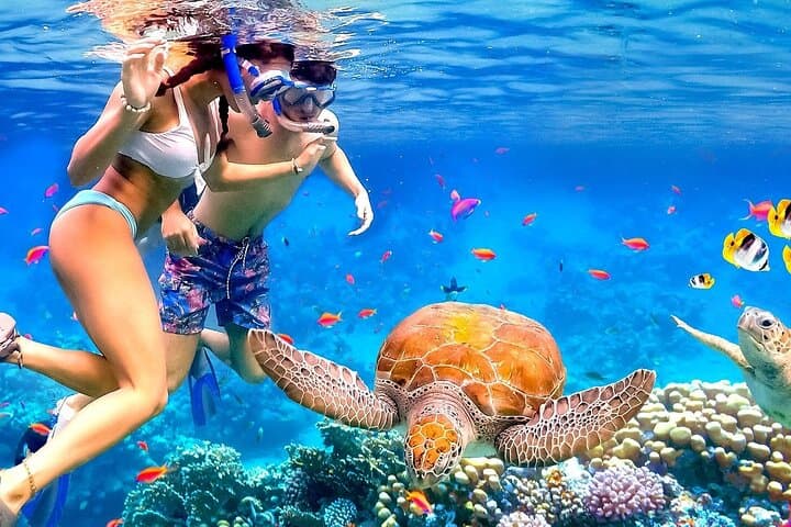 Montego Bay Private Snorkeling and Boat Ride: 1-Hour Guided Reef Adventure photo 4