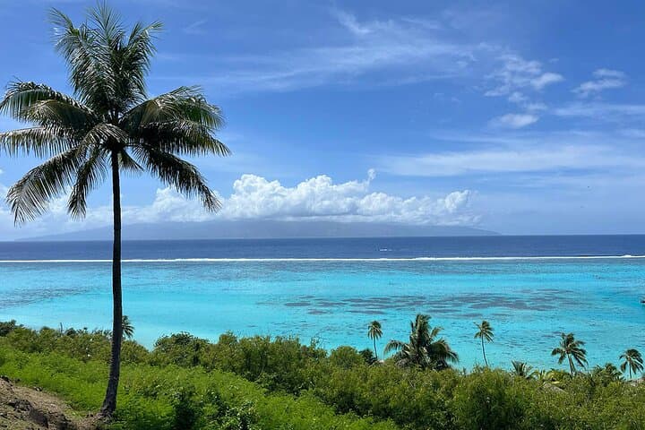 Moorea CityCoco Electric Scooter Tour: Ride to the Island’s Best Beaches & Bays photo 6