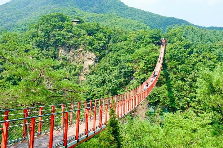 Seoul DMZ Tour: 3rd Tunnel, Dora Observatory & Gamaksan Red Suspension Bridge photo 1