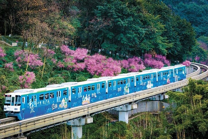 Chongqing City Private Walking Tour: Hongya Cave, Liziba & Yangtze Confluence