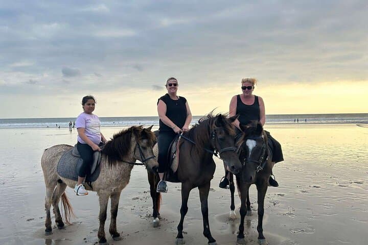 ubud-saba-beach-horse-ride-and-ubud-cultural-tour photo 4