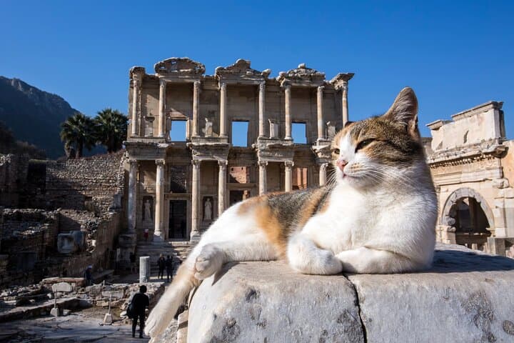 Private Day Trip to Ephesus from Istanbul (with Flights) photo 2
