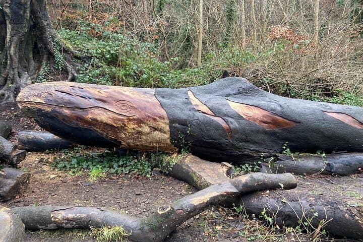 Morning Edinburgh Hidden Gems: A Four-Hour Scenic Drive photo 6