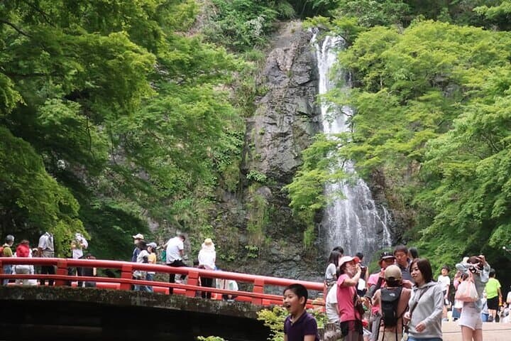 Day Tour from Osaka: Katsuo-ji, Minoo Falls, Arashiyama Bamboo & Nara Park photo 1