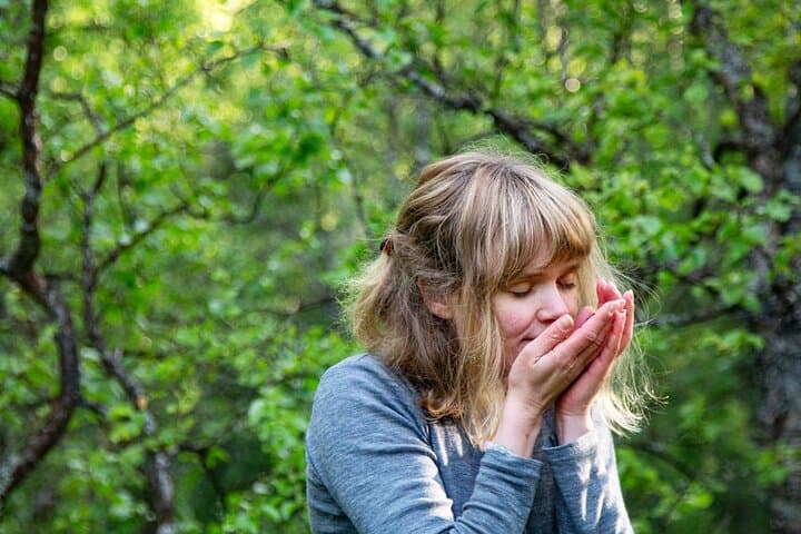 Shinrin-Yoku in Tromsø: Guided Arctic Forest Bathing for Calm and Clarity