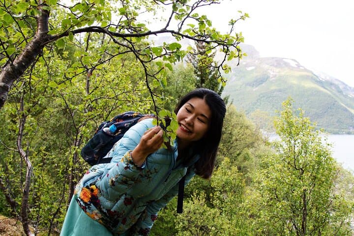 Shinrin-Yoku in Tromsø: Guided Arctic Forest Bathing for Calm and Clarity photo 3