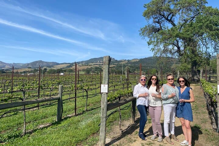 Half-Day Sonoma Wine Tasting Tour from Santa Rosa — Visit Two Wineries photo 4