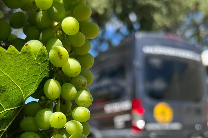 Half-Day Sonoma Wine Tasting Tour from Santa Rosa — Visit Two Wineries photo 6