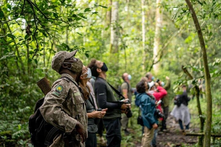 7-Day Uganda Chimps & Gorilla Trekking Safari — Murchison to Bwindi photo 2