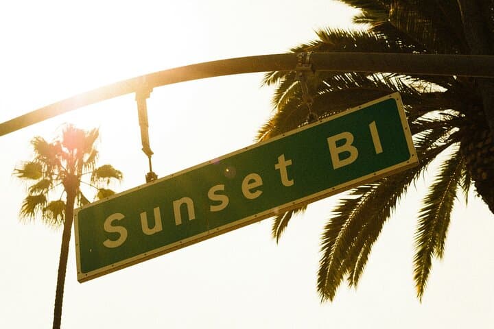 Private Luxurious Los Angeles Tour — Hollywood, Beverly Hills & Venice in 6 Hours photo 3