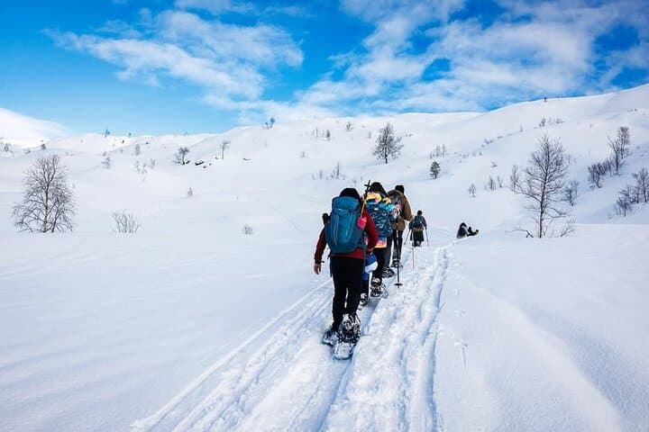 Snowshoe Hiking in Bergen — Guided Winter Tour to Fjord Views photo 3