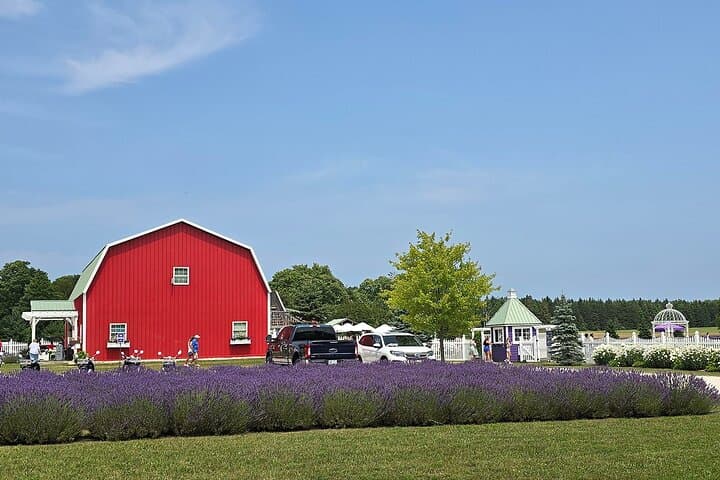 Drive Washington Island: Self-Guided Coastal Tour of Door County’s Maritime Heritage photo 4