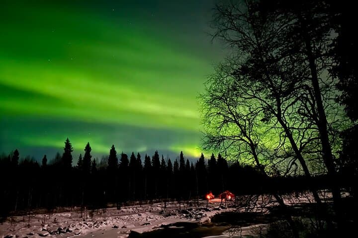 Private Northern Lights Chase in Rovaniemi — Guaranteed Aurora Viewing & Photo Guide photo 2