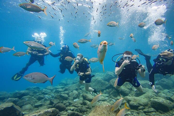 Discover Scuba Diving in Tenerife — El Fraile Intro Dive