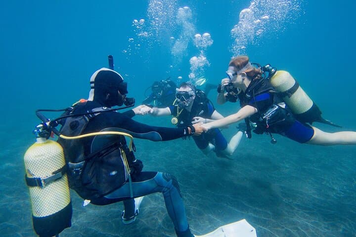 Discover Scuba Diving in Tenerife — El Fraile Intro Dive photo 3