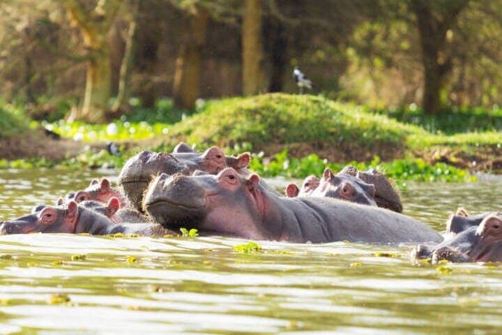 Private Hell's Gate & Lake Naivasha Day Tour with Spa from Nairobi photo 2
