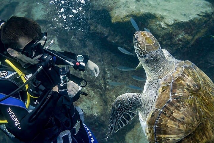 Discover Scuba Diving in Tenerife — El Fraile Intro Dive photo 5