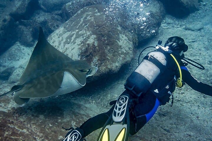 Discover Scuba Diving in Tenerife — El Fraile Intro Dive photo 6