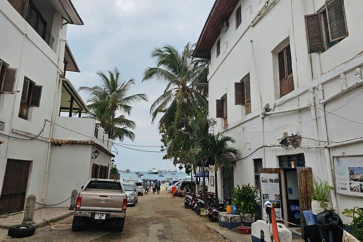 Stone Town, Prison Island & Spice Farm: Full-Day Zanzibar Cultural and Coastal Tour