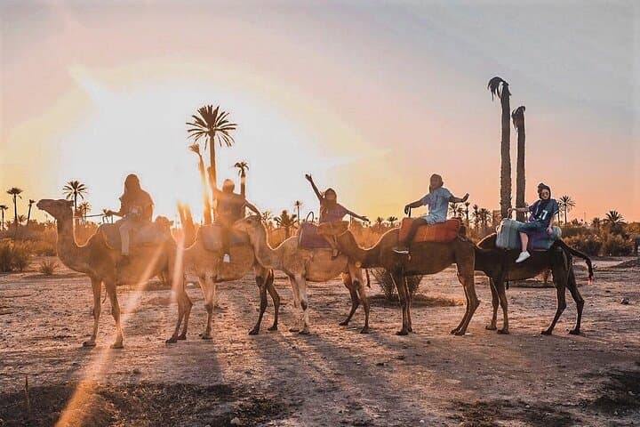 Three Valleys Day Trip from Marrakech — Imlil, Ourika & Asni Atlas Experience