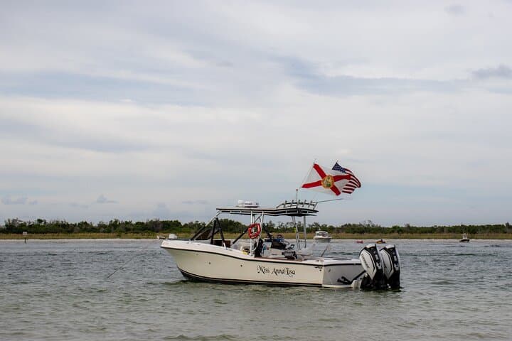 St. Pete Eco Island Hop: 3-Hour Private Gulf Wildlife & Snorkel Tour photo 2