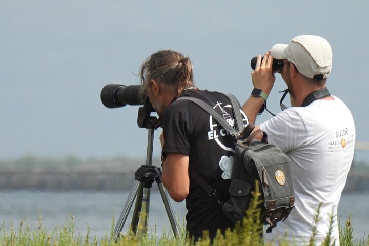 Ebro Delta Birdwatching Tour: Flamingos, Lagoons & Riet Vell Observatory photo 6