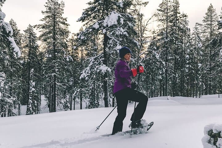 Private Snowshoeing Tour in Pyhätunturi: Guided Arctic Wilderness & Campfire Meal photo 2