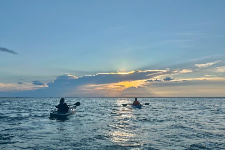 Pensacola Beach Kayak Tour: Guided Bay Paddle with Wildlife & Sunset Views photo 4