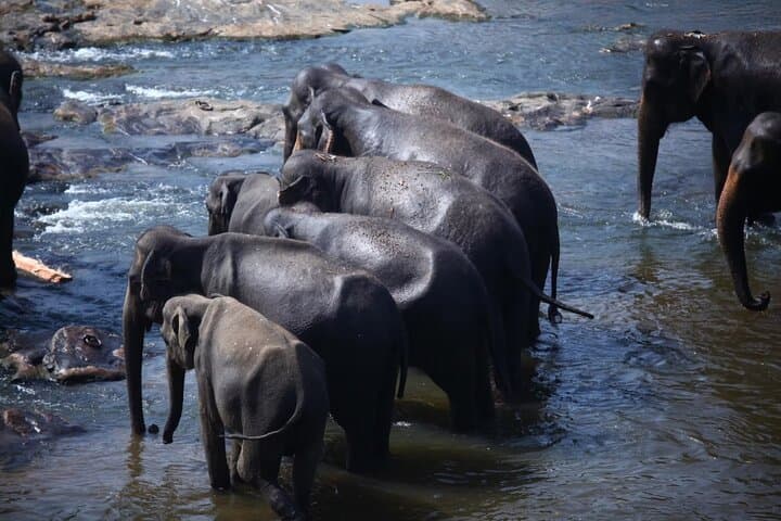 Five-Day Private Sri Lanka Highlights Tour: Sigiriya, Kandy, Ella & Nuwara Eliya photo 2